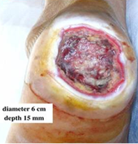 Description of Image 1